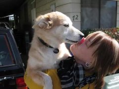 狗狗喜歡舔你，原來是想告訴你這些！