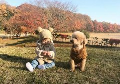 為什么有些孩子會出現想要＂養寵物＂的欲望