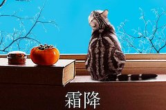 霜降丨縱然霜華盡染，心中美好如初