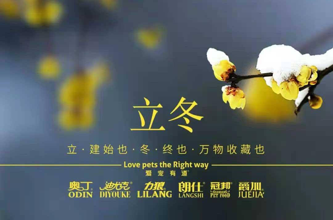 立冬丨冬寒初始，情暖愈濃